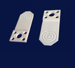 Pelat Pengisap Semikonduktor Untuk Penanganan Wafer Alumina Ceramic Spare Parts